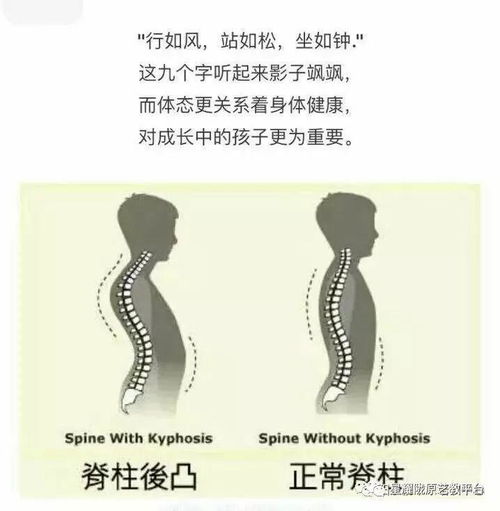 星耀陇原，舞动健康——记第五届春晚中俏丫平川佳艺舞蹈艺术学校的脊柱健康之美