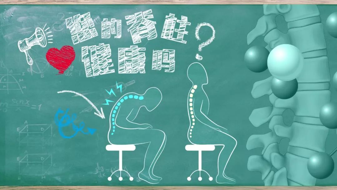 脊柱健康 支撑生命的支柱