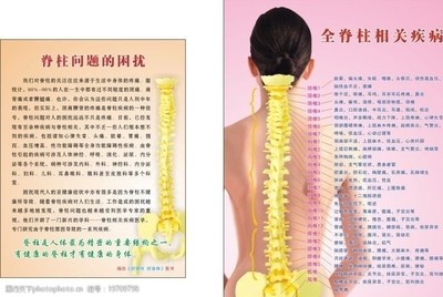 脊柱健康 守护你的生命支柱